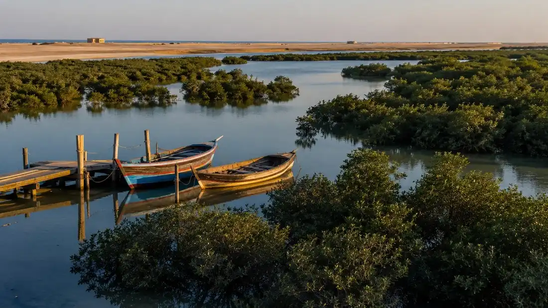 Mangrovová laguna s loďkami u jednoduchého mola